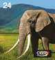 Epson 24 Cartridges Combo Pack Main Image