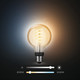 Philips Hue Filament Light White Ambiance Globe E27 2-pack product in use