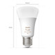 Philips Hue White and Color E27 800lm Duo Pack null