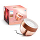 Philips Hue Iris White and Color Special Edition Copper packaging