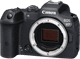 Canon EOS R7 + RF 50mm f/1.8 STM null