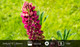 Sony FE 85mm f/1.8 visual Coolblue 1