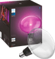Philips Hue Lightguide Ellipse White and Color E27 6-pack + Pendant Lamp Cord packaging