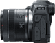 Canon EOS R8 + RF 100-400mm f/5.6-8 IS USM linkerkant