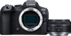 Canon EOS R6 Mark II + RF 50mm f/1.8 STM Main Image