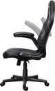 Trust GXT703 Riye Gaming Chair Black null