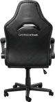 Trust GXT703 Riye Gaming Chair Black null