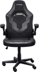 Trust GXT703 Riye Gaming Chair Black null
