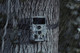 Camouflage EZ60 product in use