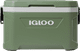 Igloo ECOCOOL 52 Main Image