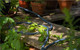 GARDENA Liano Xtreme 15m Set + GARDENA Premium Spray Nozzle product in use