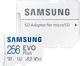 Samsung microSDXC EVO Plus (2024) 256GB Main Image