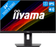 iiyama ProLite XUB2493HS-B6 Main Image