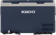 Igloo ICF80DZ detail