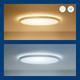 WiZ Plafondlamp SuperSlim - Wit - Gekleurd en Wit licht visual leverancier