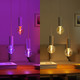 Philips Hue Lightguide Globe XL White and Color E27 visual supplier