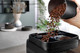 De'Longhi Magnifica EVO Next ECAM310.60.GB detail