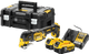DeWalt DCS356NT-XJ 5.0Ah Battery (2x) Starter Kit Main Image