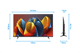 Hisense QLED 65E77NQ (2024) visuelles Coolblue 4