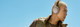 Bose QuietComfort Headphones Beige product in gebruik