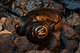 SteelSeries Arctis Nova 7 World of Warcraft Edition visual supplier