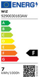 WiZ Globe Filament - Warm to Cool White Licht - E27 - Gold energy label