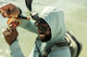 GoPro Head Strap 2.0 visual supplier