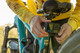 GoPro Handlebar/Seatpost/Pole Mount visueller lieferant