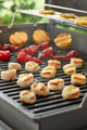 Weber Grill Rack Genesis 300 Series product in use