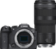 Canon EOS R7 + RF 100-400mm f/5.6-8 IS USM Main Image