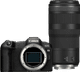 Canon EOS R8 + RF 100-400mm f/5.6-8 IS USM Main Image