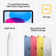 Apple iPad (2025) 11 inches 256GB WiFi Blue visual supplier