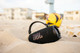 JBL Charge 6 Zwart Duo Pack product in gebruik