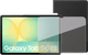 Samsung Galaxy Tab S10 FE 10.9 inches 128GB WiFi Silver + Protection Pack Main Image
