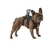 GoPro Fetch Dog Harness visual supplier