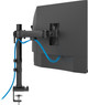 Neomounts NERO DS60-600BL3 Monitor Arm Black product in use
