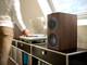 KEF Q Concerto Brown (per pair) product in use