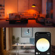 Philips Hue A60 White and Color E27 1100lm product in gebruik