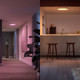 Philips Hue Devote Ceiling Lamp - White and Color - Round - White - Medium product in use