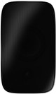 Bowers & Wilkins AM-1 Black (per pair) front