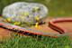 Gardena Comfort FLEX 50m CleverRoll M Small Sproeierpakket product in gebruik