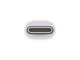 Apple Thunderbolt 3 (usb C) naar Thunderbolt 2 Adapter detail